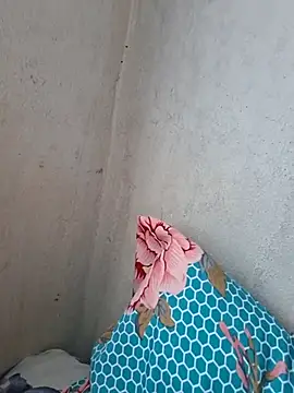 novinhatransexy online show from 11/03/25, 05:25