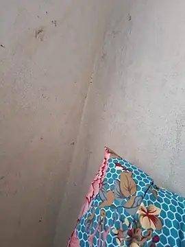 novinhatransexy online show from 11/19/25, 05:57