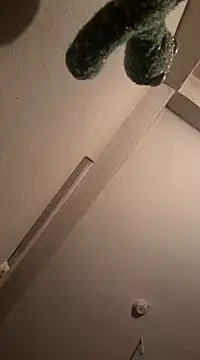 Snapshot of RaviRoy2326 chatting on 03/01/25, 08:10 RaviRoy2326 online show from 03/01/25, 08:10