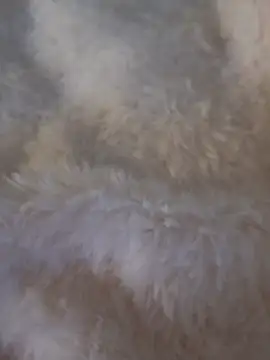 Snapshot of feketedemon36 chatting on 01/25/25, 04:57 feketedemon36 online show from 01/25/25, 04:57