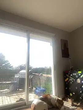 daisydukes666 online show from 04/18/26, 01:26