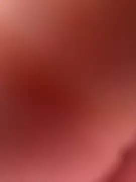 paullliliu online show from 02/26/26, 03:44