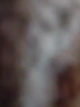 mhmia online show from 02/12/26, 03:51