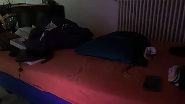 Damn bro23 online show from 04/17/26, 07:22