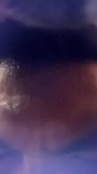 randit7 online show from 01/24/25, 12:52