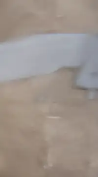 Snapshot of laxmitelugu78 chatting on 02/02/25, 07:25 laxmitelugu78 online show from 02/02/25, 07:25