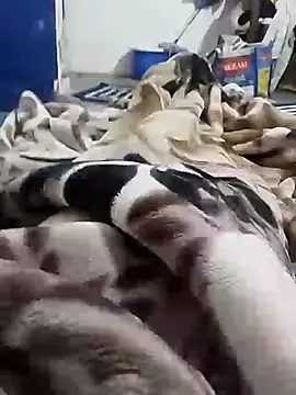 Snapshot of Playboy_bhabhi_00 chatting on 02/06/25, 05:25 Playboy bhabhi 00 online show from 02/06/25, 05:25