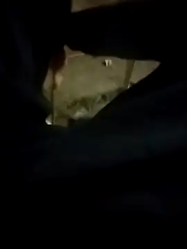 Snapshot of Playboy_bhabhi_00 chatting on 02/13/25, 02:42 Playboy bhabhi 00 online show from 02/13/25, 02:42