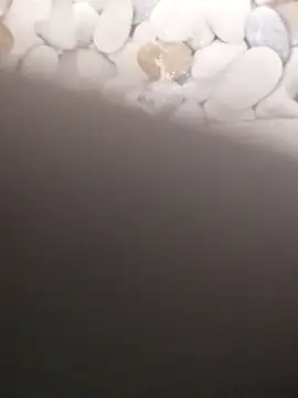 Snapshot of Playboy_bhabhi_00 chatting on 02/20/25, 07:23 Playboy bhabhi 00 online show from 02/20/25, 07:23