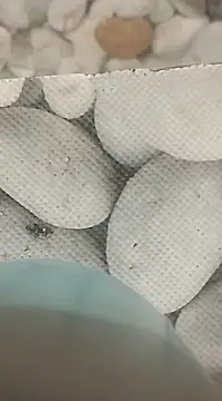 Snapshot of Playboy_bhabhi_00 chatting on 02/25/25, 08:14 Playboy bhabhi 00 online show from 02/25/25, 08:14