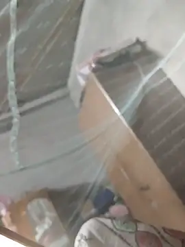 Snapshot of birds0641 chatting on 03/31/26, 07:36 birds0641 online show from 03/31/26, 07:36