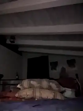 Snapshot of divinaerotica chatting on 11/02/25, 05:48 divinaerotica online show from 11/02/25, 05:48