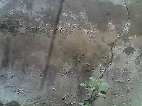 nee2526 online show from 03/05/26, 10:00