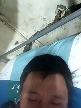 wadmma online show from 03/31/26, 08:42