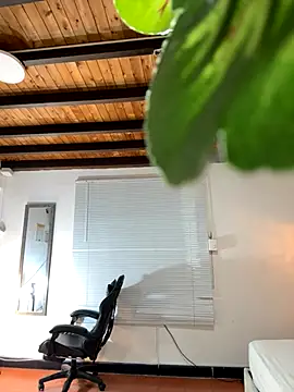 Hadley  online show from 12/03/25, 03:14