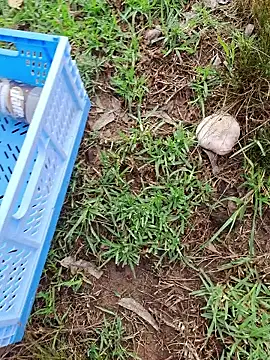 RichardHard 1 online show from 01/17/26, 09:07