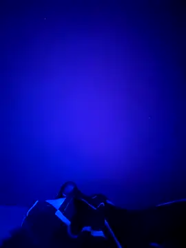 Dehtrans online show from 03/11/26, 09:15