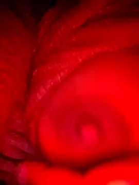 bestfriend-shikha online show from 02/05/25, 09:18