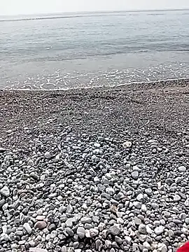 Snapshot of NAvoglia chatting on 07/20/26, 01:46 NAvoglia online show from 07/20/26, 01:46