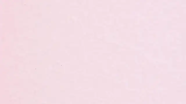 JhoanLeandro online show from 04/11/26, 04:17