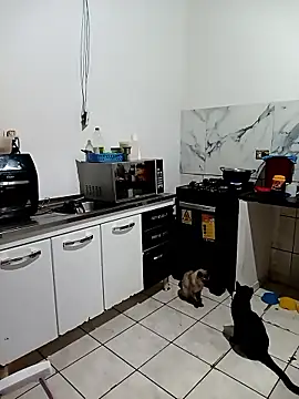 Pantaneirasexy online show from 11/27/25, 04:31