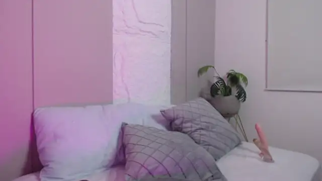 dalila harris online show from 02/12/26, 12:55