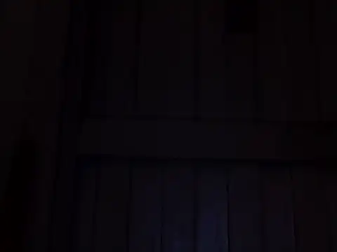 beatle666 online show from 11/07/25, 02:11