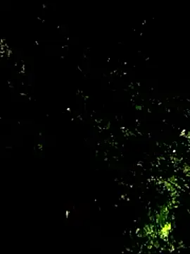 beatle666 online show from 01/19/26, 04:16