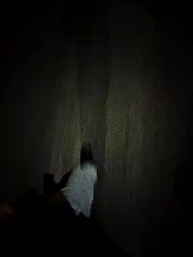 Snapshot of dominationmybigdick chatting on 10/27/25, 09:30 dominationmybigdick online show from 10/27/25, 09:30