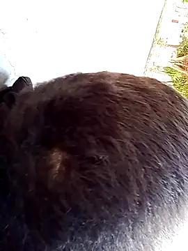 Elgroney23 online show from 12/19/25, 04:58