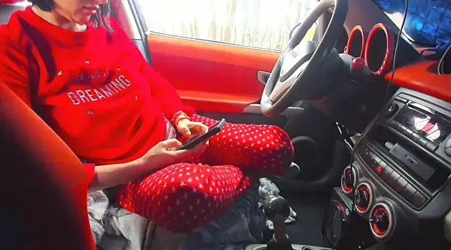 Fairy outdoor online show from 03/02/25, 11:18