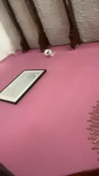 Valu euphoria online show from 11/28/25, 08:22