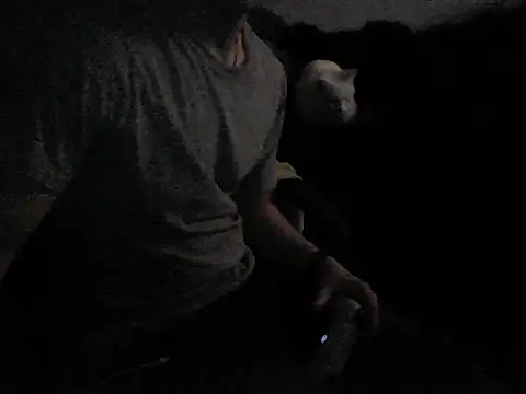 MarioKnero online show from 02/26/26, 09:52