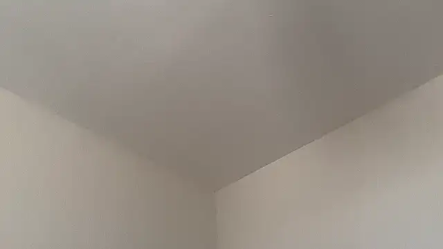 skyejde online show from 02/14/26, 09:17