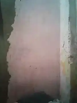 shuelldin online show from 02/16/25, 05:59