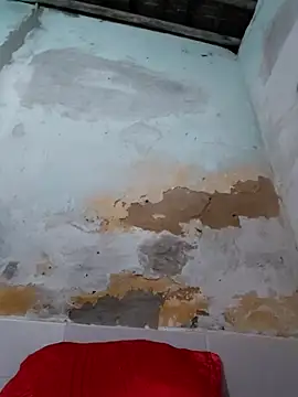 shuelldin online show from 10/29/25, 02:47