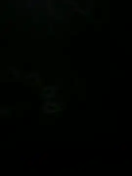 Snapshot of leonard__123 chatting on 03/12/25, 07:17 leonard 123 online show from 03/12/25, 07:17