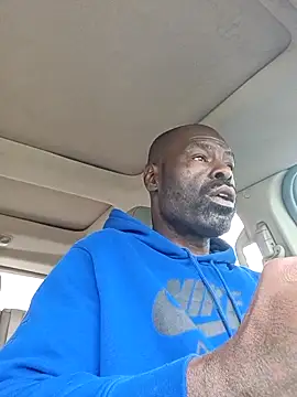 birdg online show from 03/23/26, 08:35