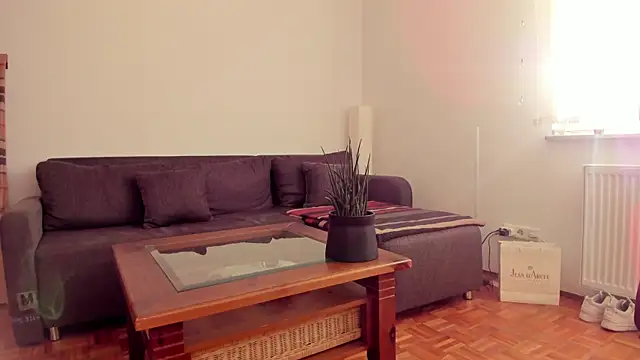 molicaremolicare online show from 11/06/25, 07:31