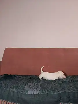 Snapshot of Jehan_Soto chatting on 09/09/25, 05:12 Jehan Soto online show from 09/09/25, 05:12