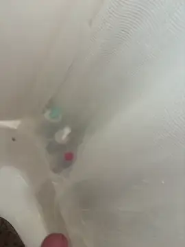 danyh2023 online show from 03/01/26, 04:09