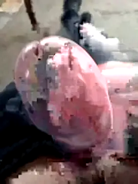 mar4oto1 online show from 03/14/26, 11:37