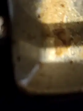 Snapshot of Loly2025 chatting on 02/20/25, 02:35 Loly2025 online show from 02/20/25, 02:35