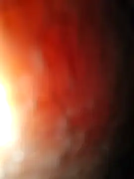 Lezoz  online show from 01/11/26, 10:42