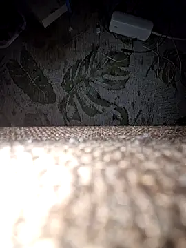 Snapshot of DerechteJunge chatting on 12/13/25, 11:43 DerechteJunge online show from 12/13/25, 11:43