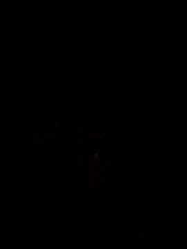 Snapshot of Nidge251 chatting on 11/04/25, 05:28 Nidge251 online show from 11/04/25, 05:28