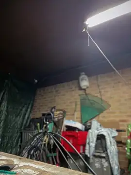 HTXBELLE online show from 03/13/26, 01:23