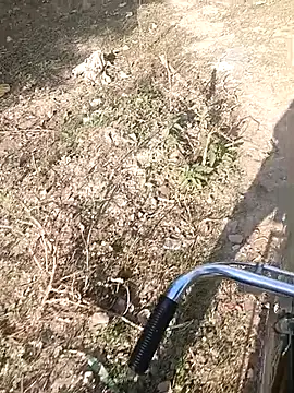 bairobunde online show from 02/07/26, 04:16