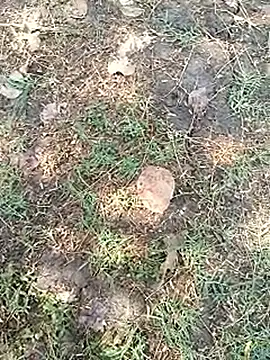 bairobunde online show from 04/05/26, 08:11