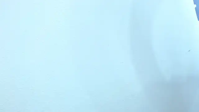 Snapshot of sebastian_colle chatting on 02/26/25, 12:03 sebastian colle online show from 02/26/25, 12:03